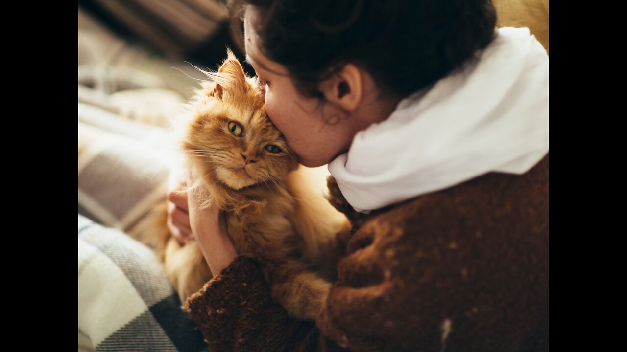 20 common mistakes cat owners make