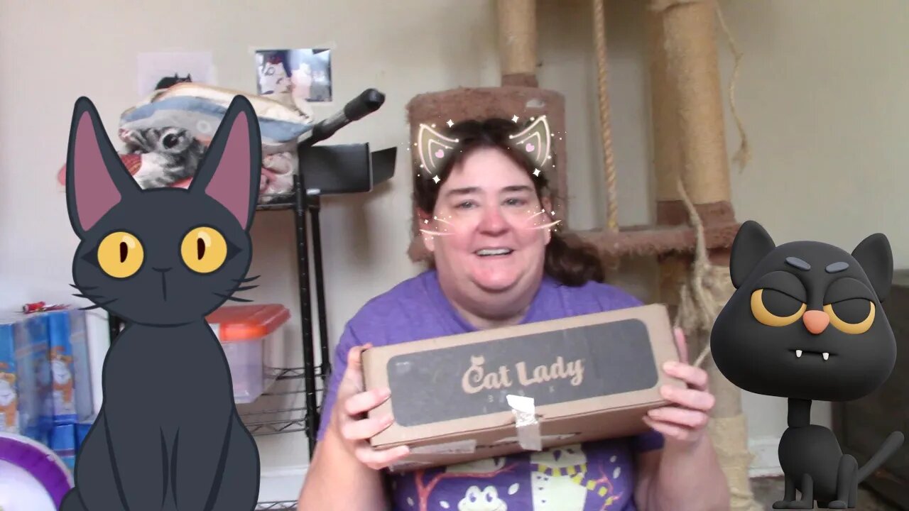 Cat Lady Box (Black Cat Box) (Broken Mug) October 2023 😻👻