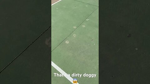 That’s a dirty doggy #outdoors #park #dirty #dog