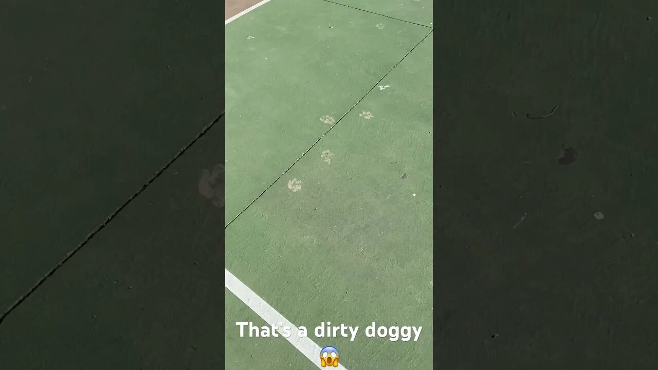 That’s a dirty doggy #outdoors #park #dirty #dog