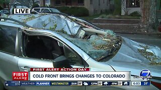 Strongs winds take down trees along Front Range