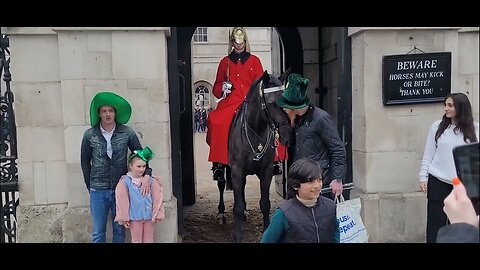 St Patrick day celebrations kiss the Horse #horseguardsparade