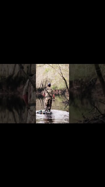 #duckhunting #woodies #publicland