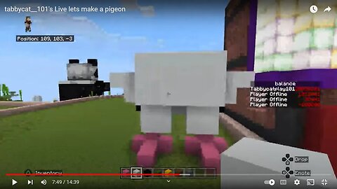 tabbycat__101's Live lets make a pigeon