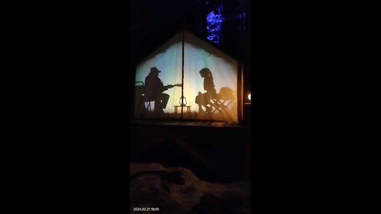 night show in forest