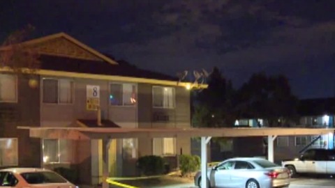 Two found shot in apartment near Twain, Decatur
