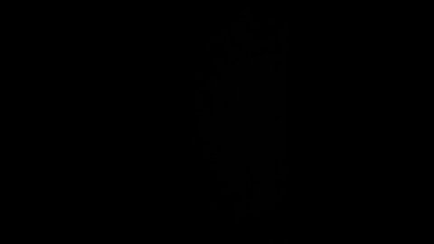 How to Pronounce Chris rock