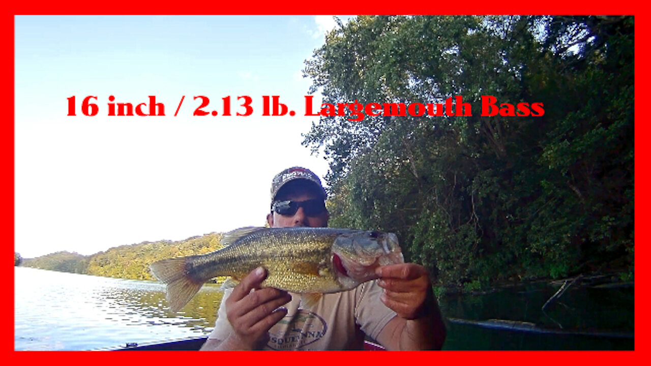 Catching Bass on the Berkley Havoc Pit Boss