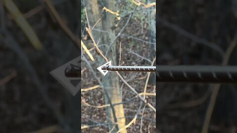 Bow Hunting Setup 🏹🦌🙌 #shorts