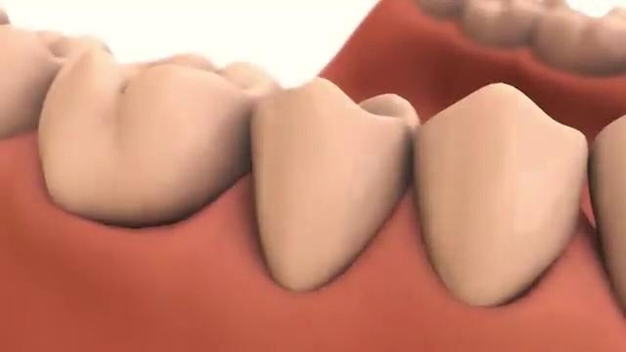 THE FORGOTTEN VIKING RITUAL THAT STRENGTHENS TEETH, REBUILDS GUMS AND ELIMINATES CAVITIES