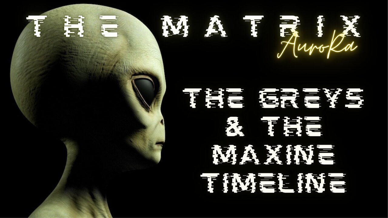 SENSITIVE: The Greys | The Covid-19 Vaccine Timeline | The Matrix