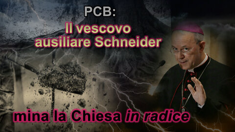 PCB: Il vescovo ausiliare Schneider mina la Chiesa in radice