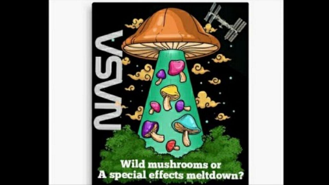 Flat Earth: Wild mushrooms or special effects meltdown?