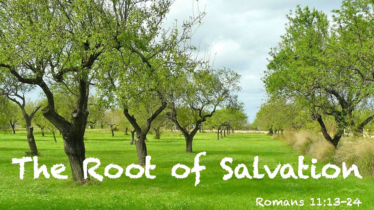 The Root of Salvation