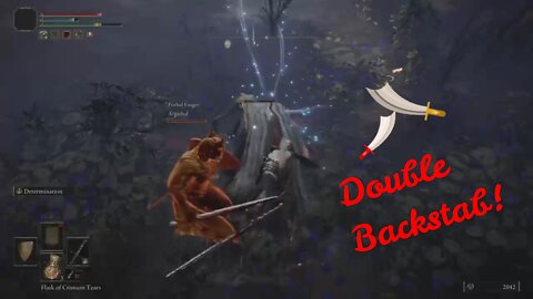 Elden Ring Double Backstab!