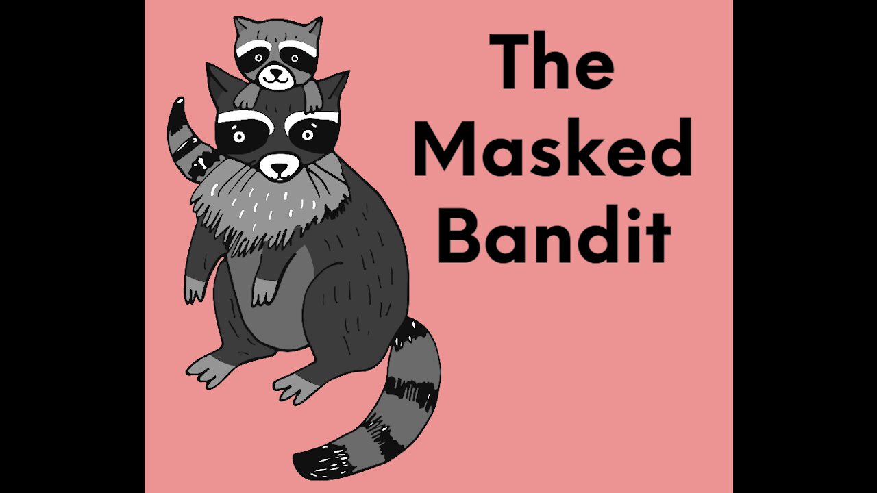 The Masked Bandit