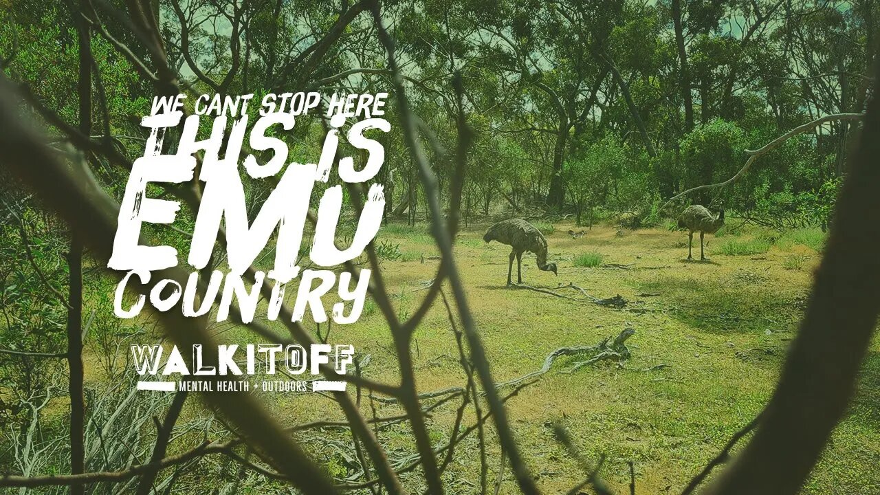 We cant stop here this is emu country!