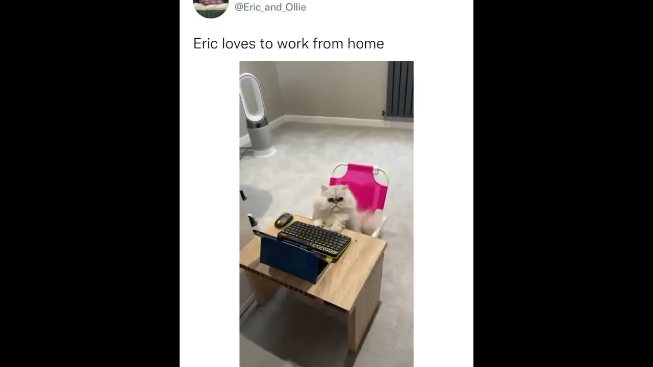 This is so cute 🤗
