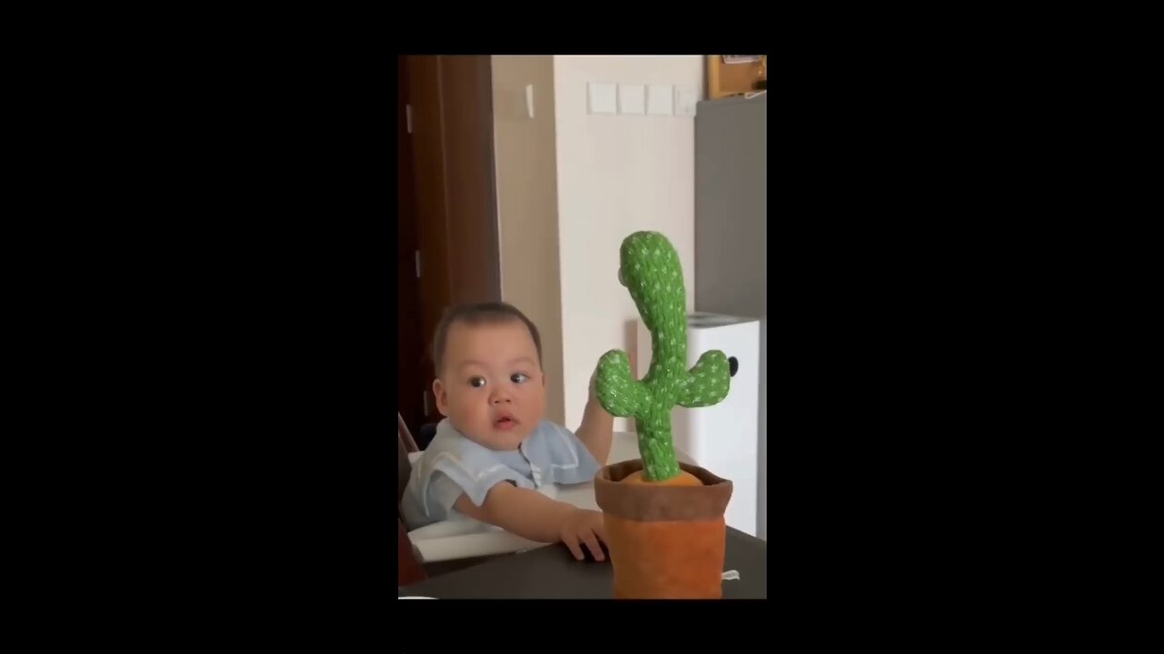 babies play Dancing cactus 🧸