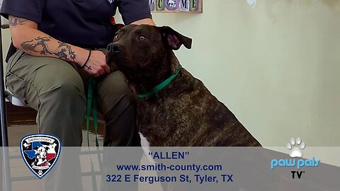 Paw Pals TV: "Wet Nose Wednesdays" featuring Allen!