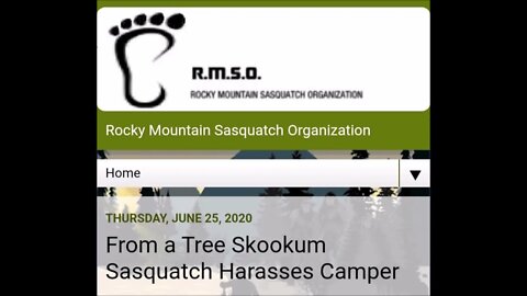 Sasquatch Harasses Camper From A Tree Paranormal News