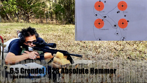 6.5 Grendel 123 Absolute Hammer Load Development