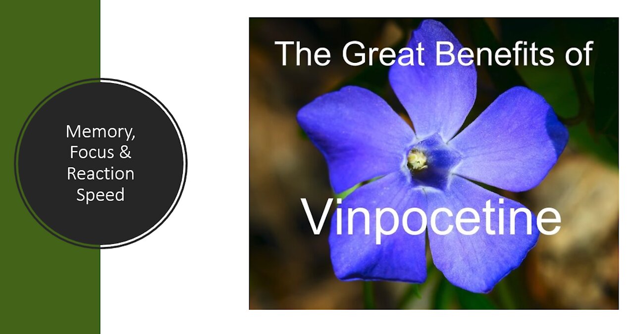 Vinpocetine - Brain Boosting Benefits