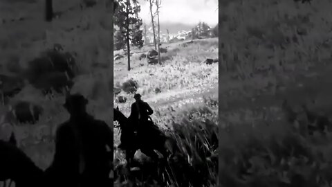 Red dead redemption 2 gameplay_118 #shorts #bestmoments #pcgaming #rdr2#viral