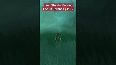 The Legend of Zelda: Breath of the Wild: Lost Woods, Follow The Lit Torches PT.2