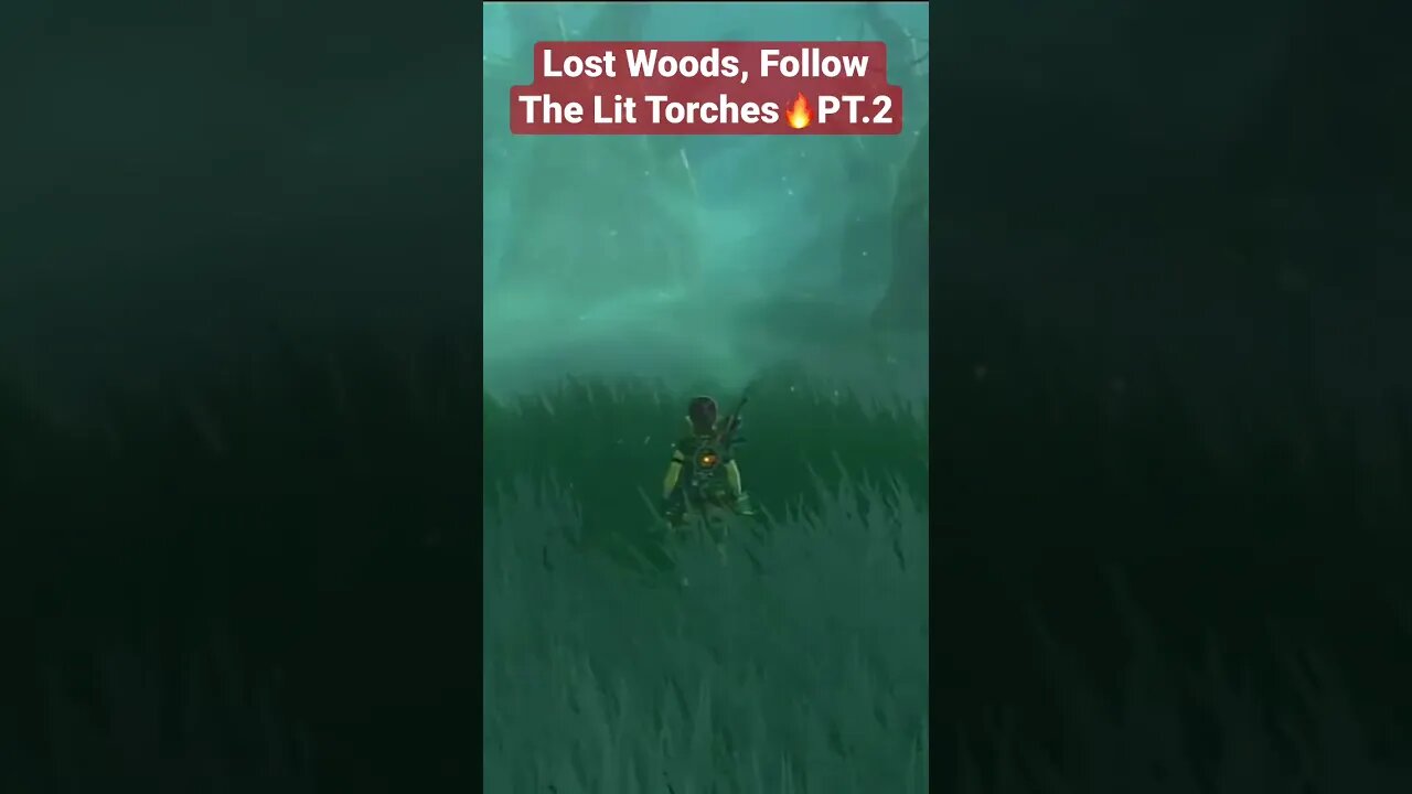 The Legend of Zelda: Breath of the Wild: Lost Woods, Follow The Lit Torches PT.2