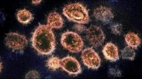Nevada health lab reports 1st South African COVID-19 variant confirmed case