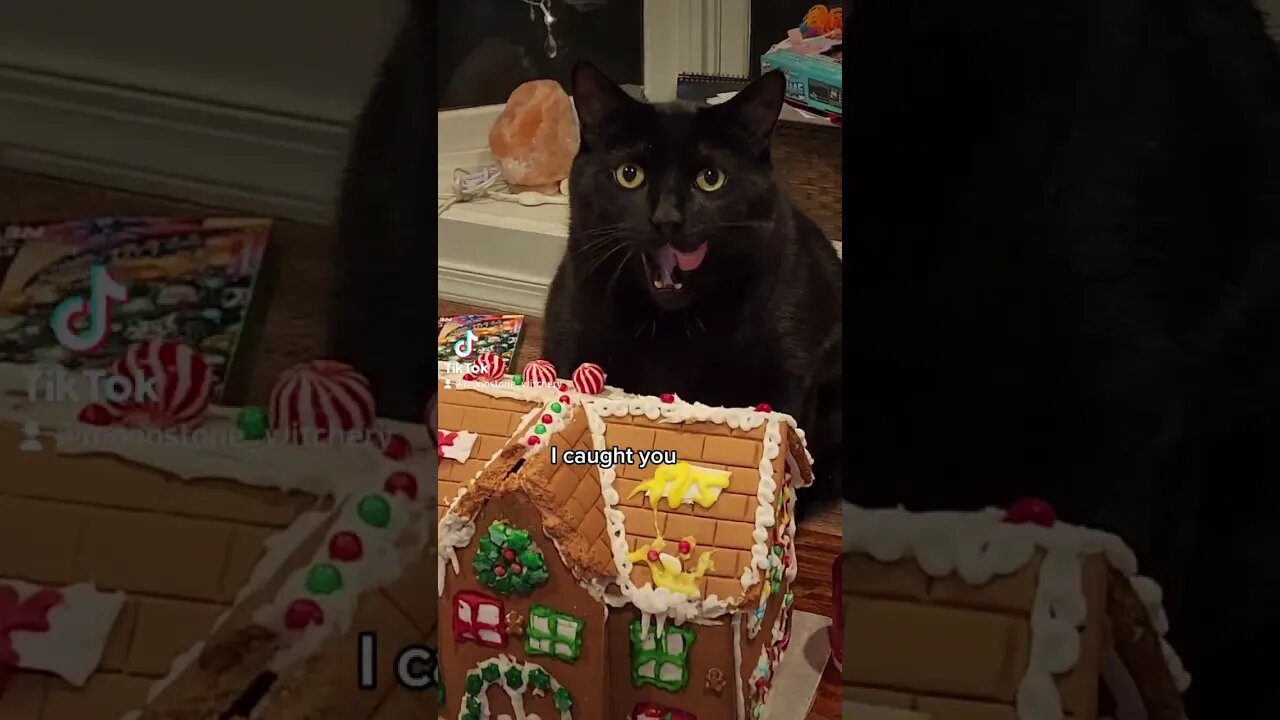 Gingerbread House Licked By Cat! #MegaFails #Shorts