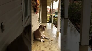 Rainy Day