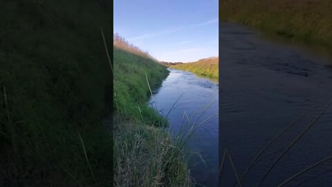 beautiful coon creek..