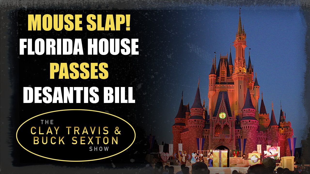 Mouse Slap! Florida House Passes DeSantis Bill