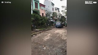 Un camion détruit par un train