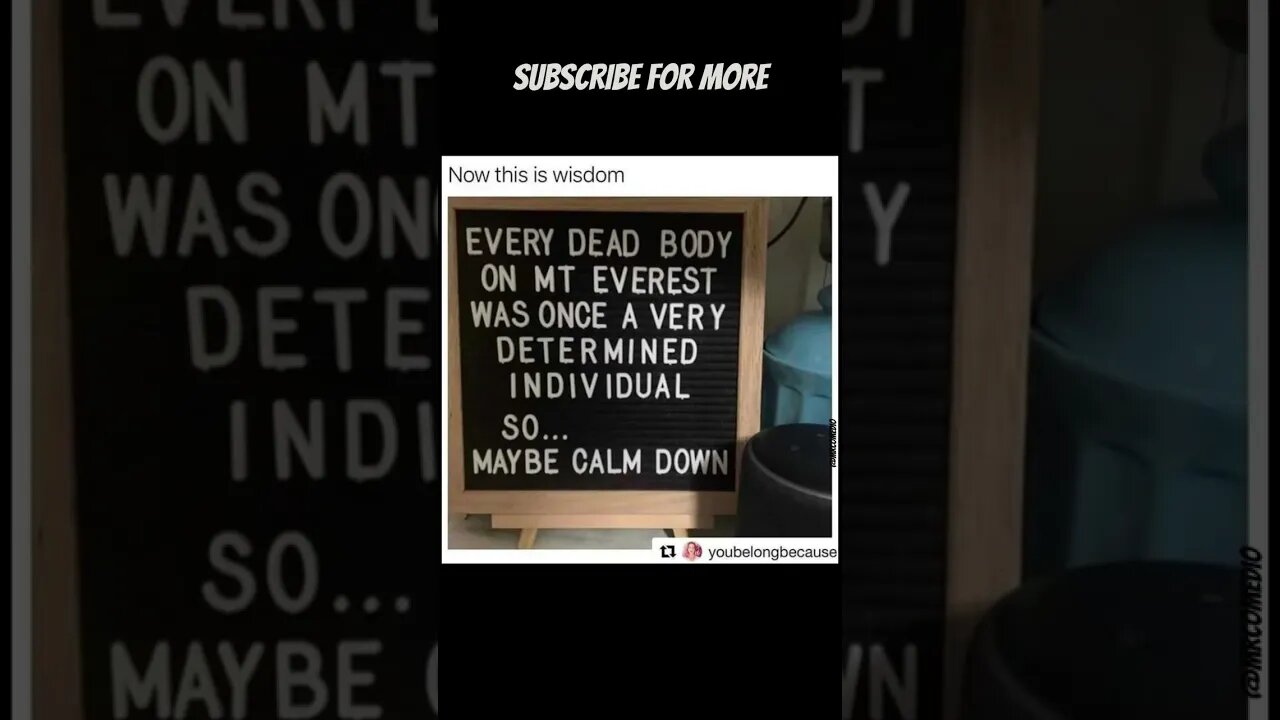 Calm Down Guys - Dank Memes v54