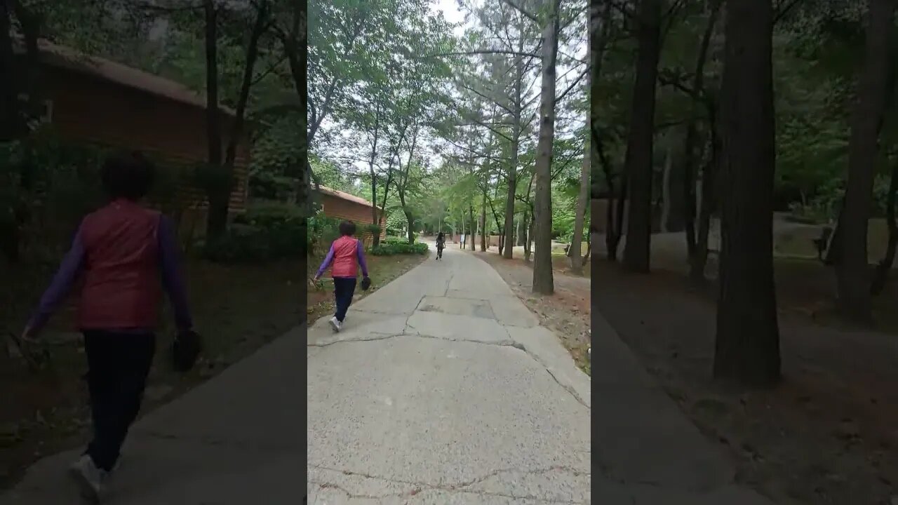 충남 서천군 국립희리산해송자연휴양림