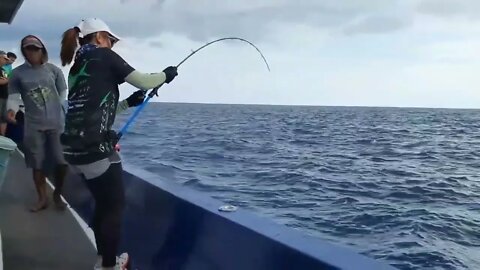 mancing mania || gadis cantik mancing ikan kakap