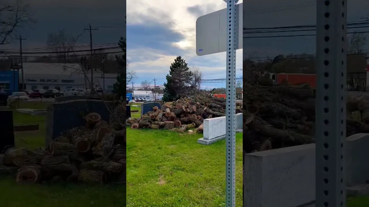 This Tree Got Diced Up