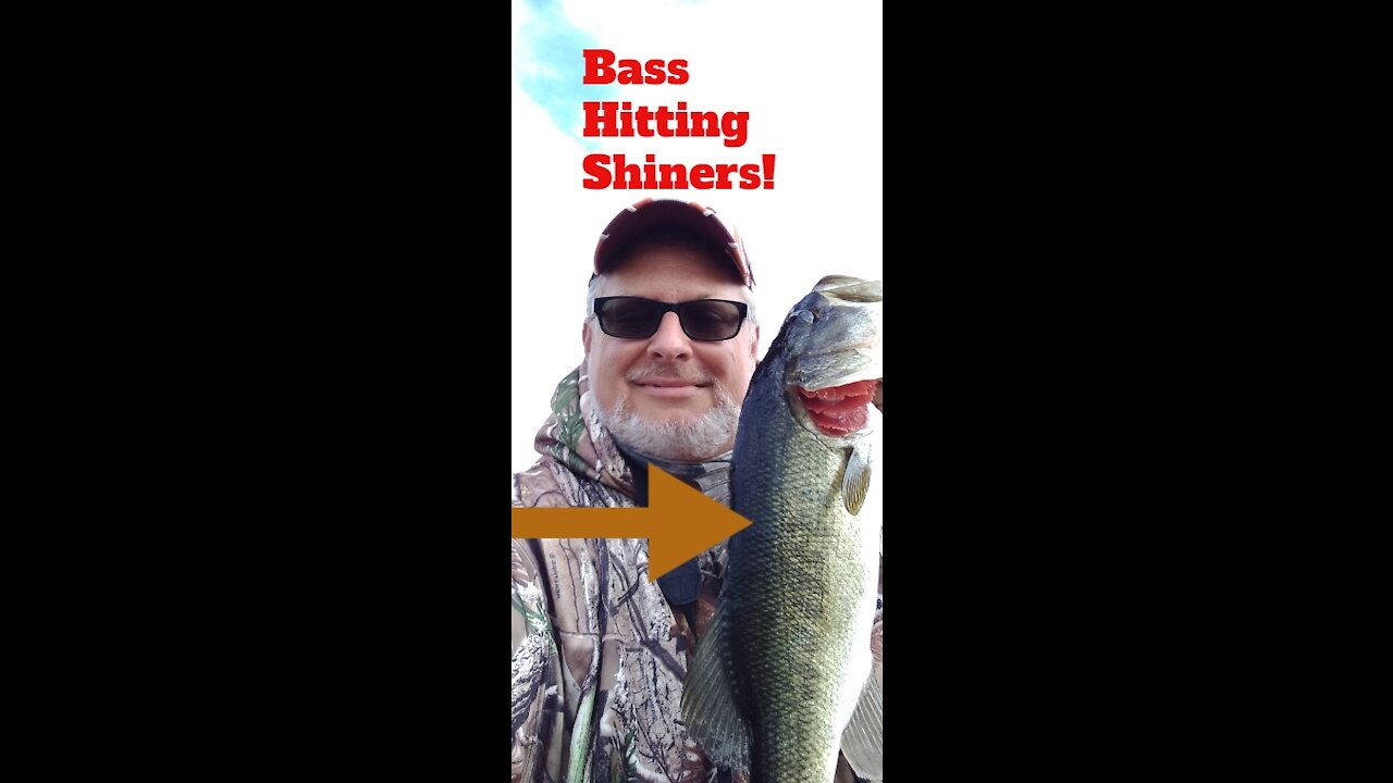 Bass Hitting SHINERS!!