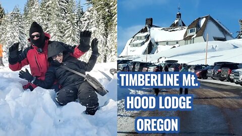 TIMBERLINE Mt. HOOD LODGE/GOVERNMENT CAMP SNOW BUNNY PARK OREGON