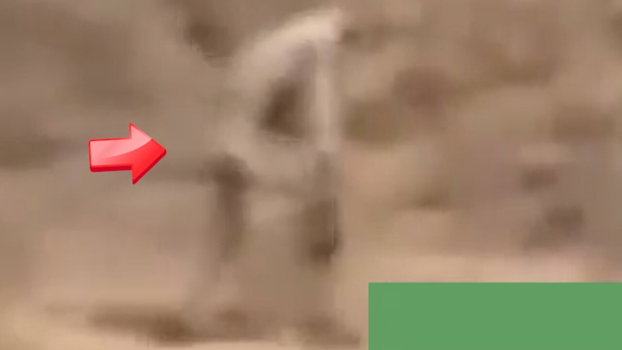 Large-bodied creature was spotted in the wilderness photographed from above [Space]