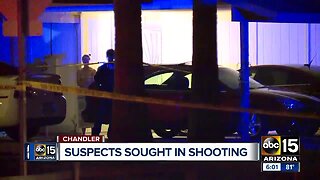 Police investigate homicide in Chandler