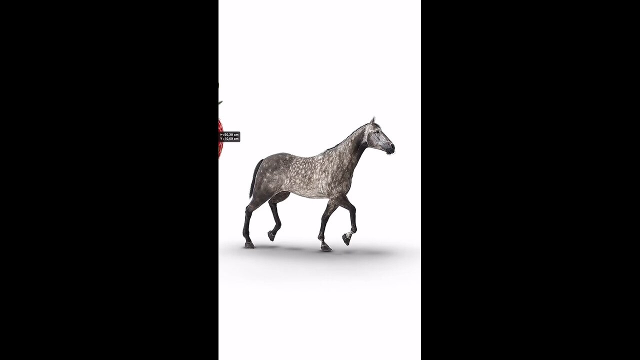 Pferdbeere 🍓🐴😜 Aus meiner Reihe Wortspielbilder. Die Pferdbeere wird auch in meinem zweiten