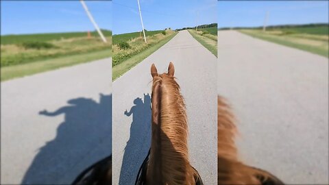 Cajun Horseman Running w/ Shadow of RagingLoon 🐴😲🇺🇲