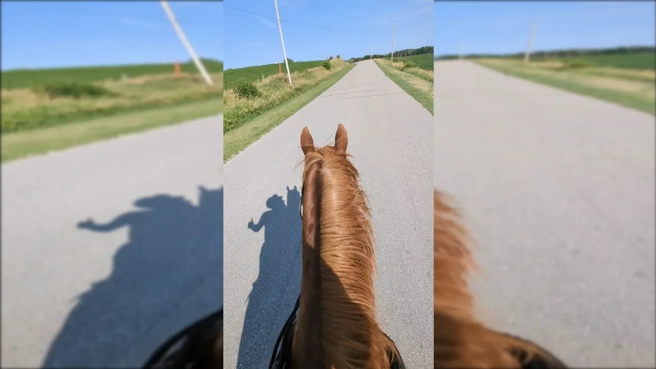 Cajun Horseman Running w/ Shadow of RagingLoon π΄π²πΊπ²
