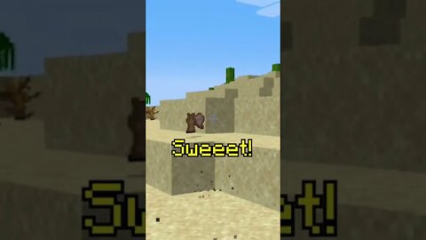 Minecraft but I'm western