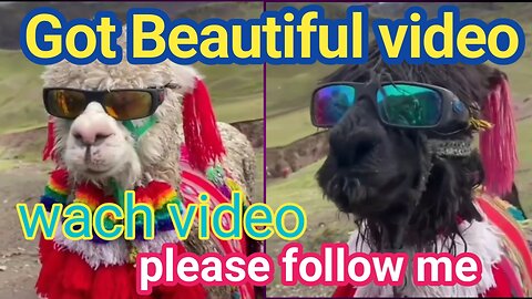 Beautiful got video tow hero gote