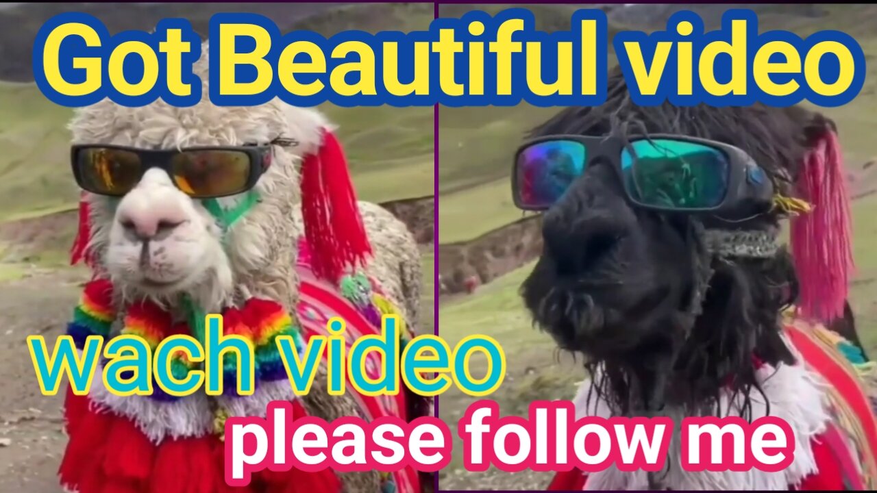 Beautiful got video tow hero gote